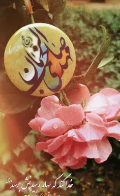 عکس الله ابی