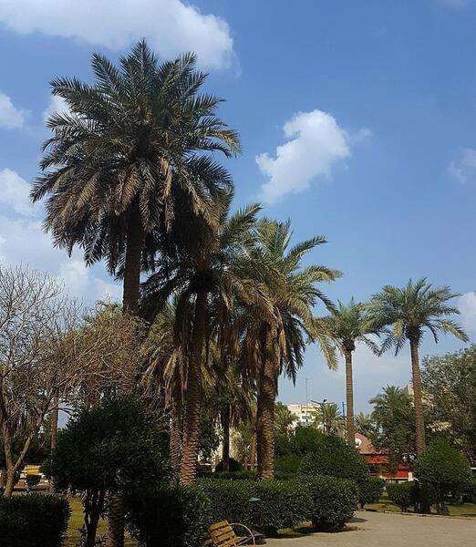 عکس اهواز گردی