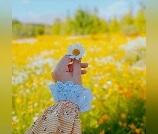 عکس کیوت دخترونه زرد