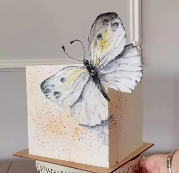 عکس کیک تولد دخترانه پروانه ای