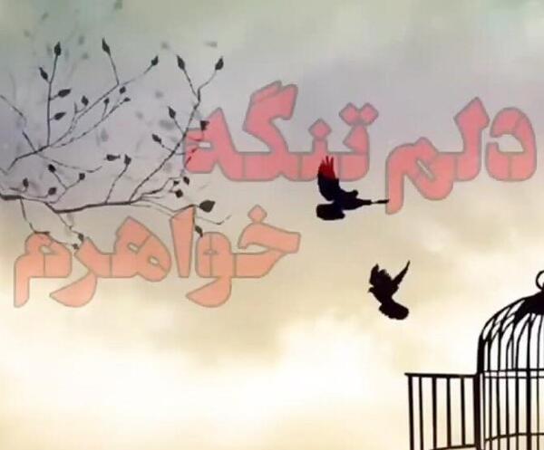 عکس نوشته غم از دست دادن عمو