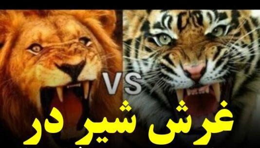 عکس غرش شیر برای پروفایل