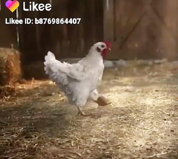 عکس نوشته بخاطر پول