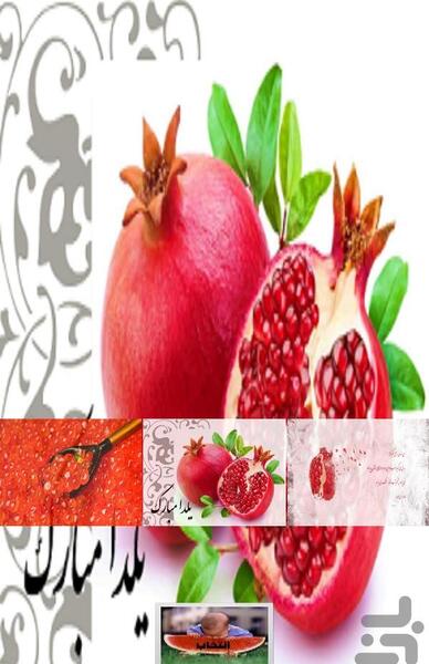 عکس گوشی یلدا