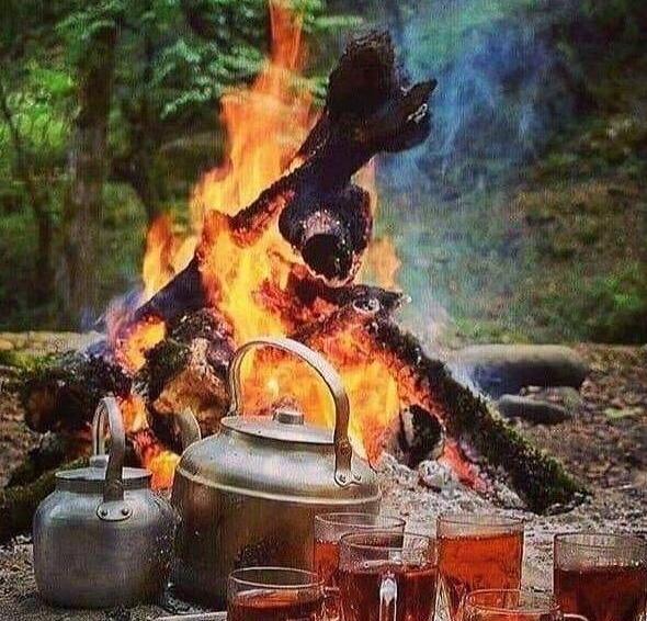 عکس قوری زعفران دم کن