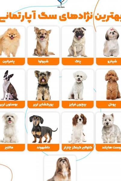 عکس تصاویر خانه خدا