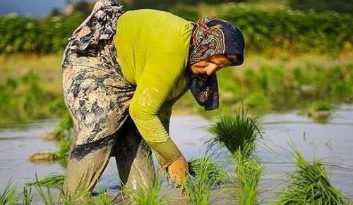 عکس تسلیت سالگرد رفیق
