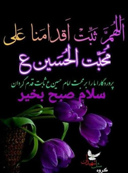 عکس نوشته سلام صبح بخیر امام رضایی