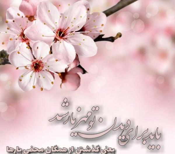 عکس نوشته سلام صبح بخیر امام رضایی
