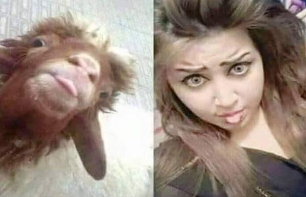 عکس های خنده دار تفاوت دختر و پسر