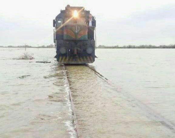عکس حرکت گرگ ها