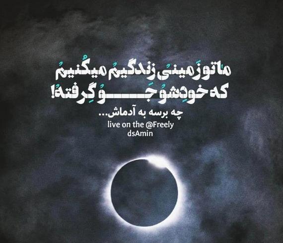 عکس حرکت گرگ ها