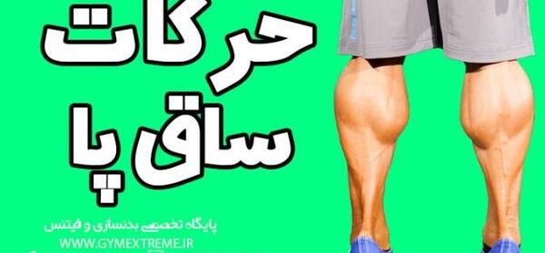 عکس حرکت گرگ ها