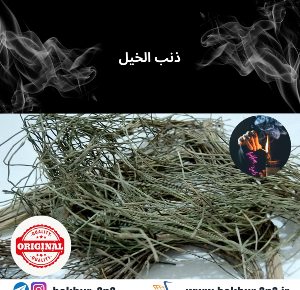 عکس بذر سیاه دانه