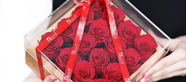 عکس گل رز وحشی