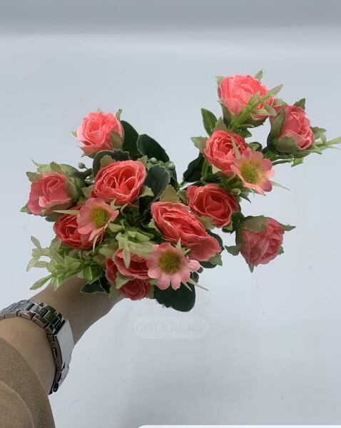 عکس گل رز وحشی