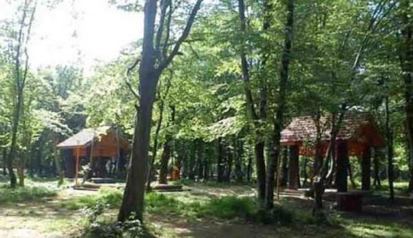 عکس پرچم ایران خونی