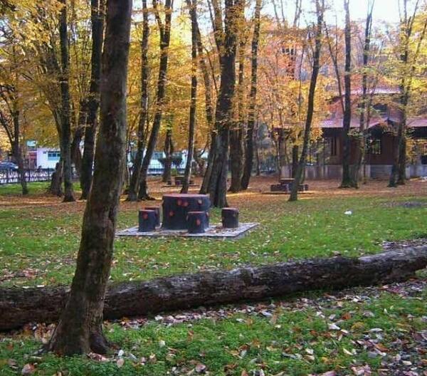 عکس پرچم ایران خونی