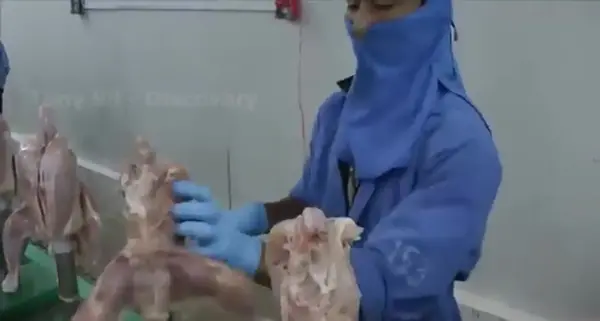 عکس واقعی تسو و همسرش