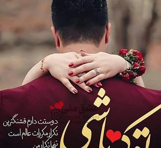 عکس روباه سعاده