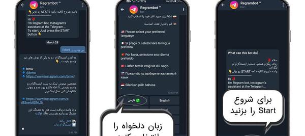 ربات های دانلود عکس پروفایل اینستاگرام