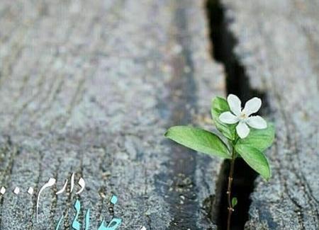 یه عکس نوشته در مورد خدا