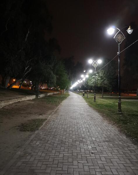 عکس شب پارک