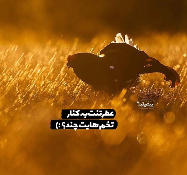 عکس نوشته باحال خدا