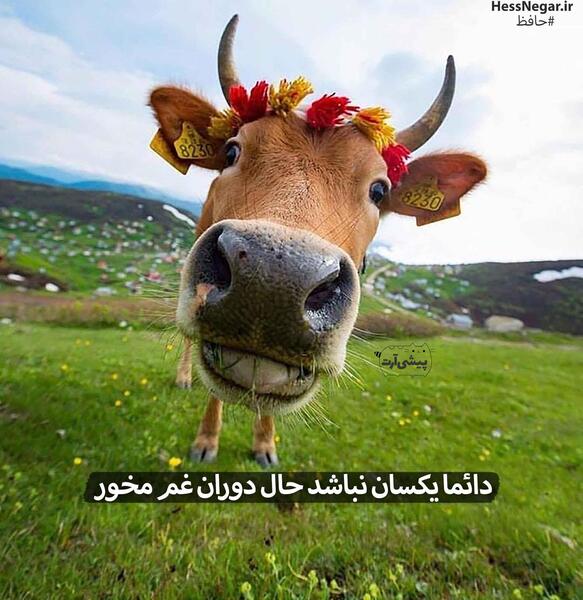 عکس نوشته باحال خدا