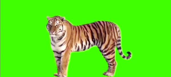 عکس پرده سبز