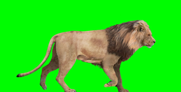 عکس پرده سبز