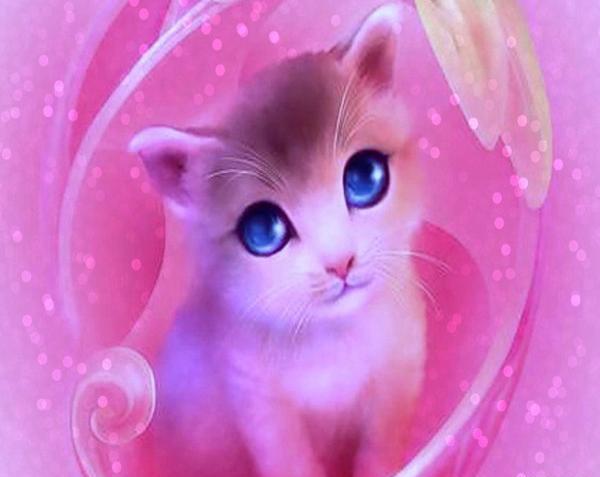 عکس گربه کیوت برای پس زمینه
