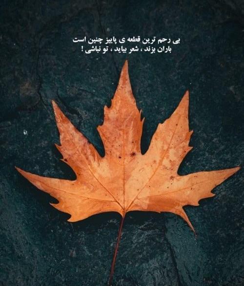 عکس پاییز برای پروفایل دخترانه