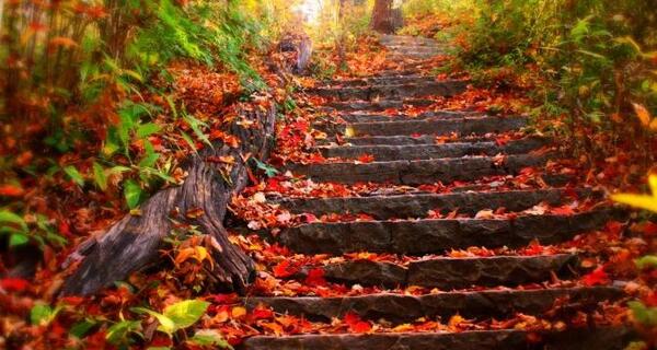 عکس نوشته فلسفی پول
