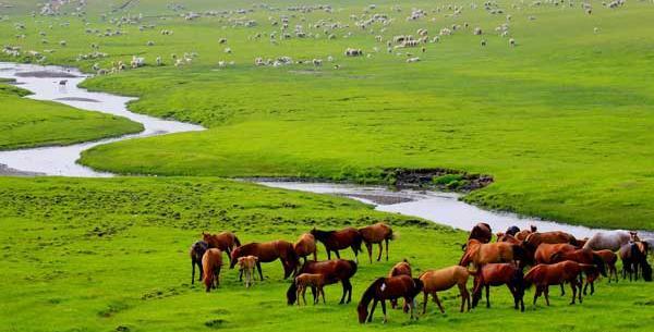 عکسهای علی کریمی پرسپولیس