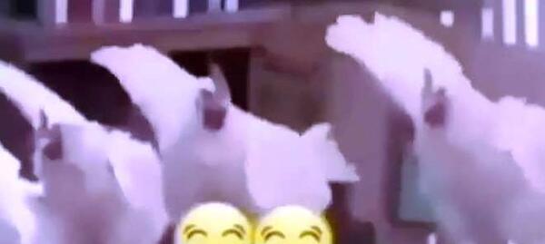 عکس آزاد شدم خوشحالم ننه