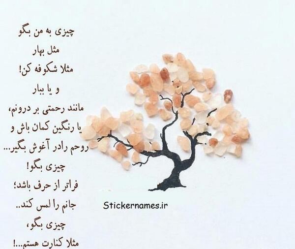 عکس پروفایل شکوفه های بهاری