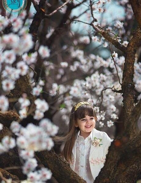 عکس پروفایل شکوفه های بهاری