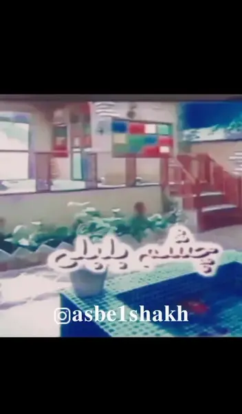 عکس عروسک چشم بلبلی