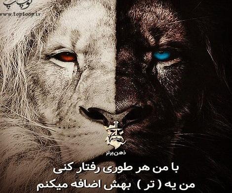 عکس نوشته تلافی خیانت