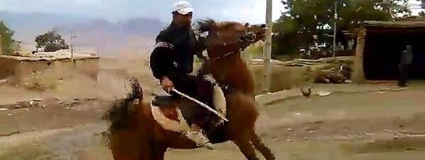 عکس اسب تیام