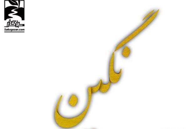 عکس نوشته اسم نگین زیبا