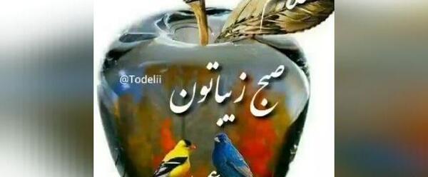 عکس وضعیت واتساپ صبحت بخیر عزیزم