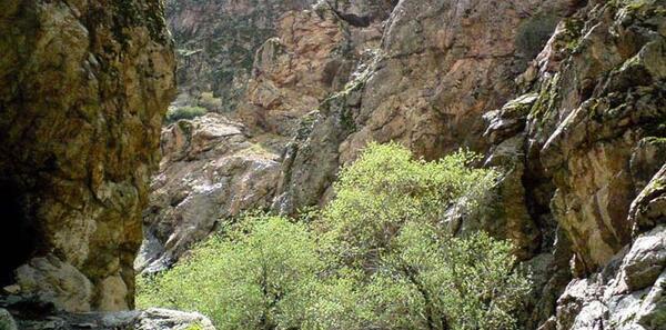 عکس رودخانه کن تهران