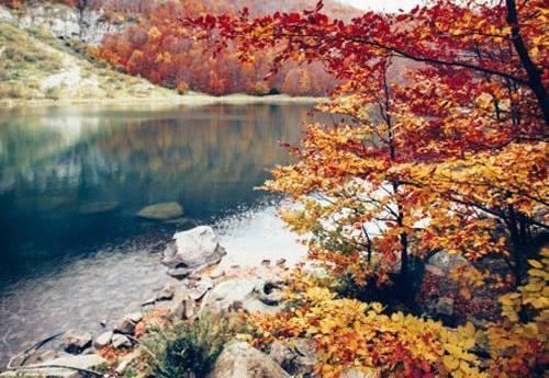 عکس طبیعت برای پروفایل واتساپ
