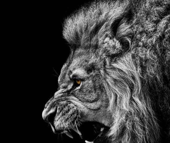 عکس پس زمینه کامپیوتر خفن