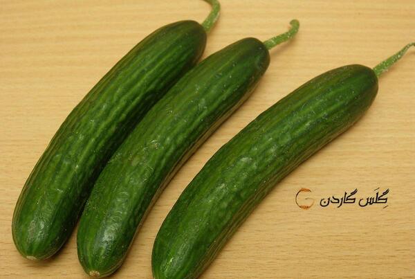 عکس خیار سبز