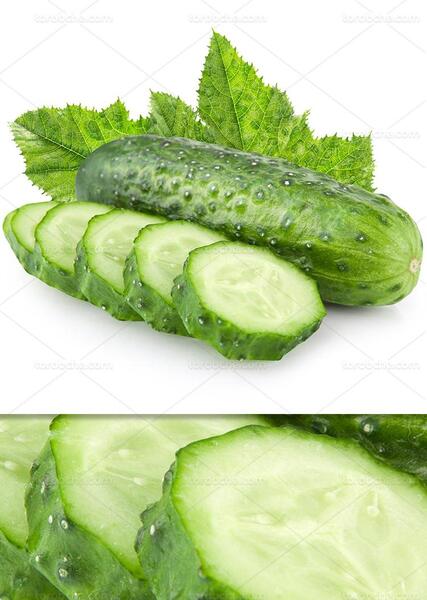 عکس خیار سبز
