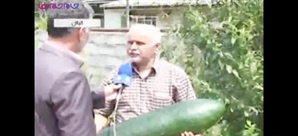 عکس خیار سبز