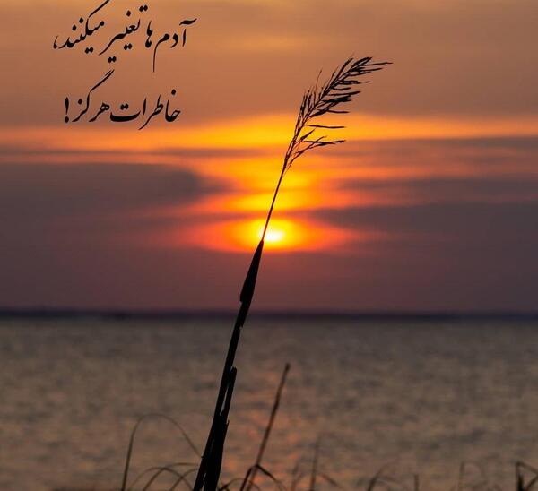 عکس شاد یراحی